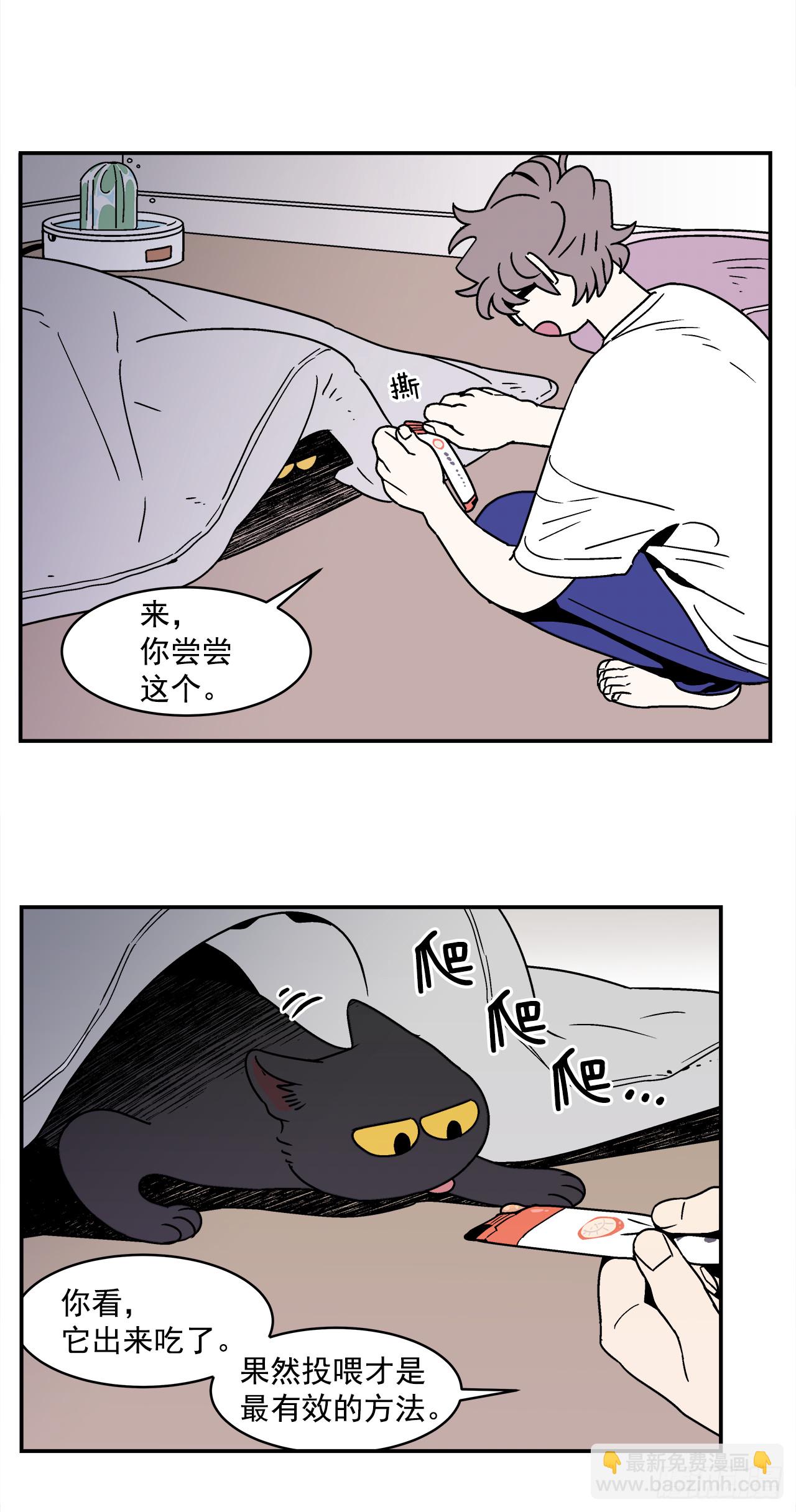 《关于欲望这件事》66.番外8 如何搞定猫咪 第31页