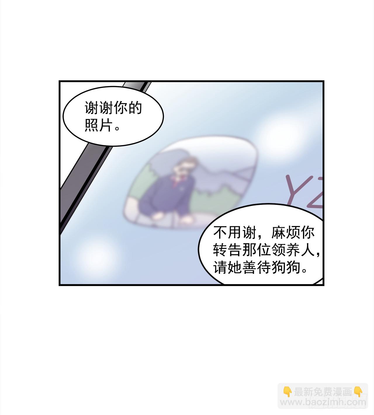《关于欲望这件事》78.番外20 命运般的爱情 第10页