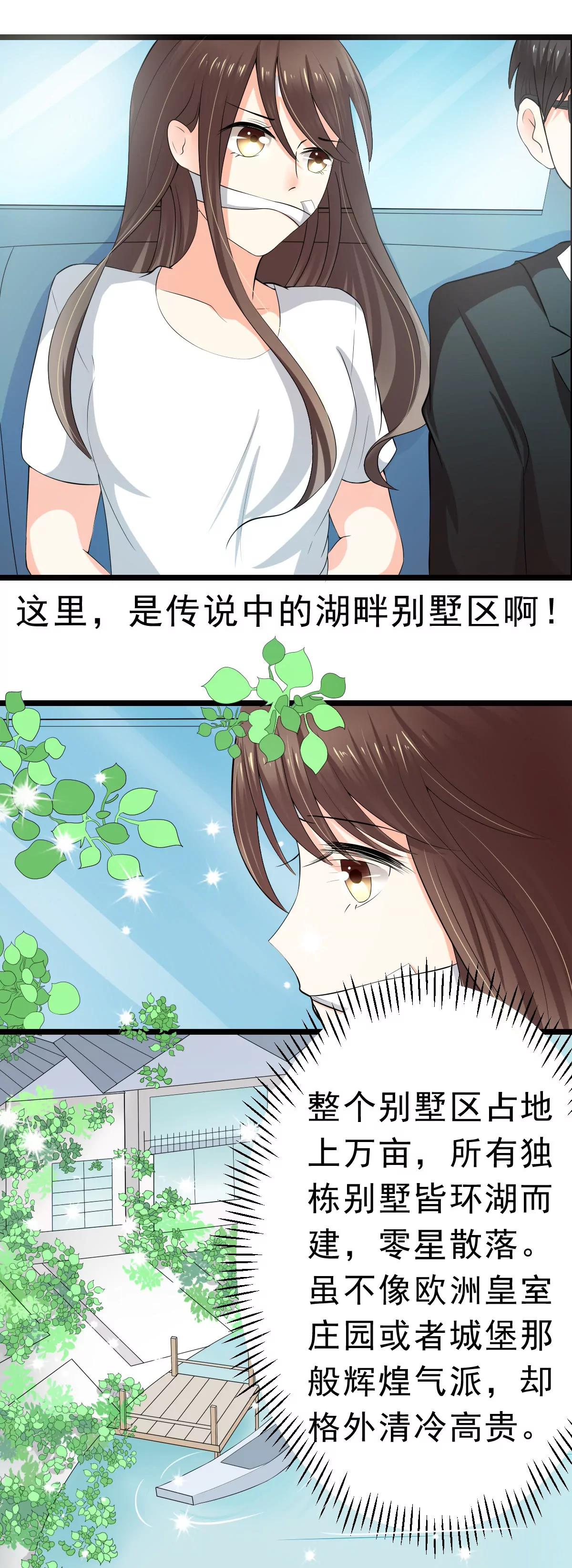 《娇妻凶勐权少的隐婚小甜妻》赫连修 第1页