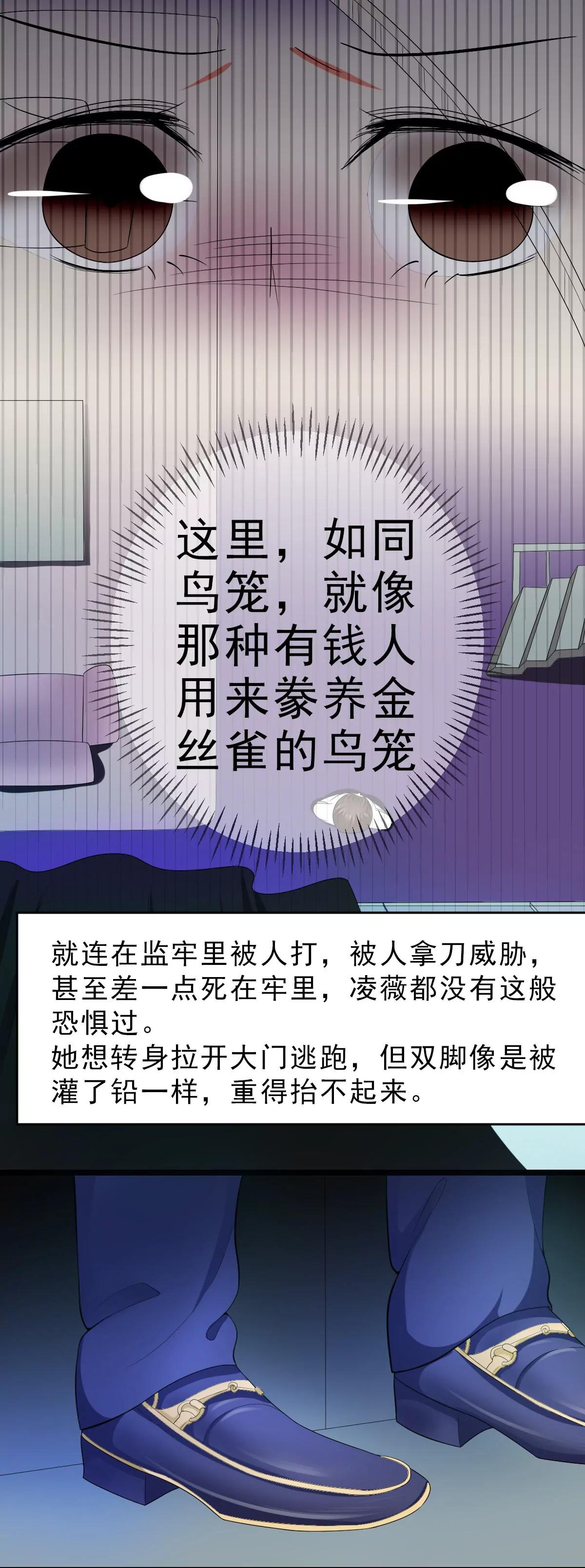 《娇妻凶勐权少的隐婚小甜妻》赫连修 第8页