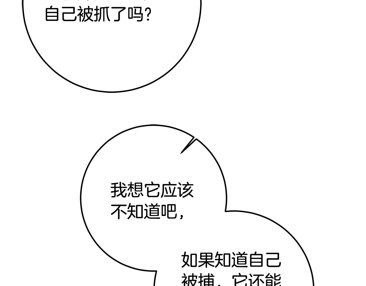 《残酷皇帝的新娘》第19话 最毒妇人心 第23页