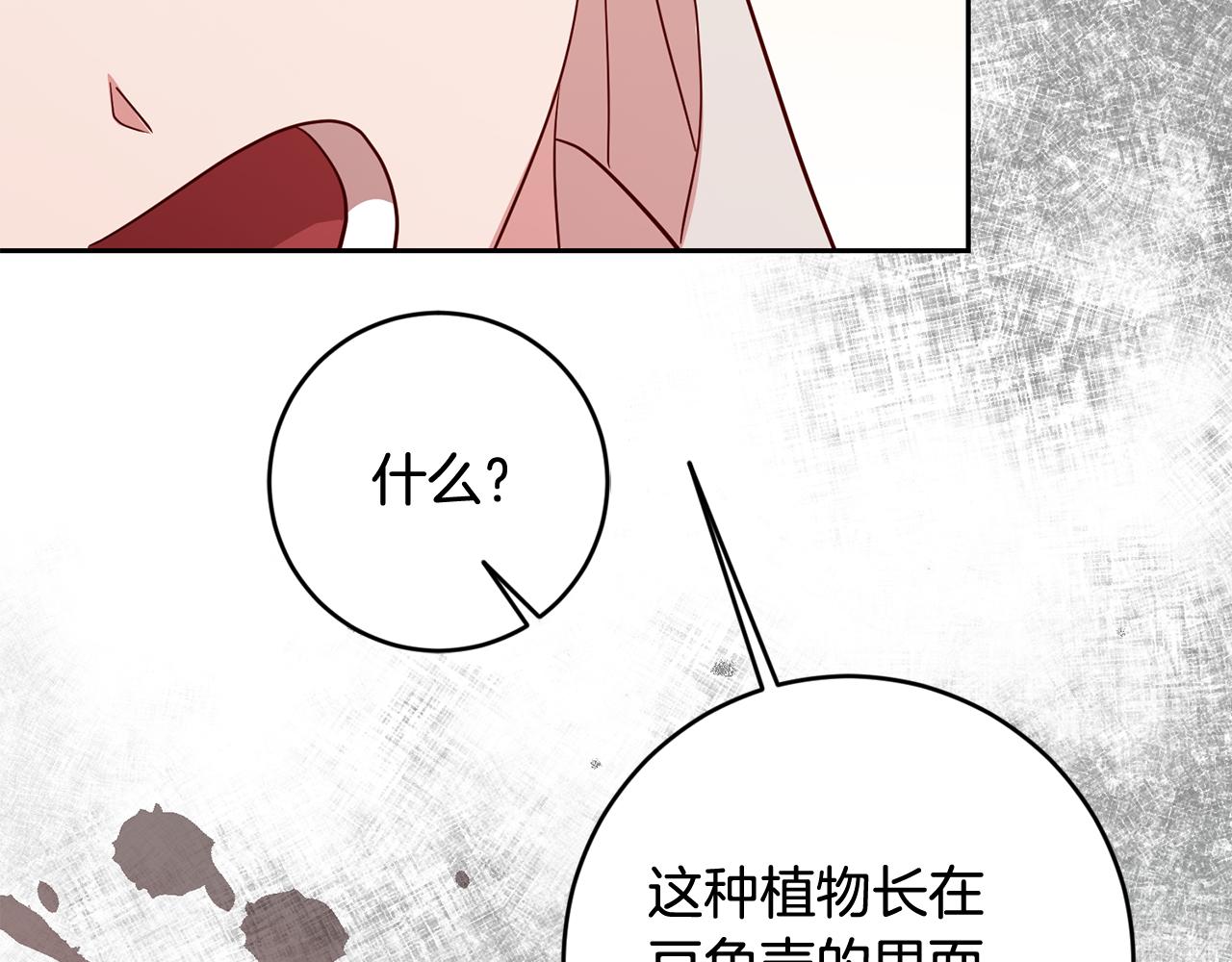 《残酷皇帝的新娘》第48话 神秘梦境 第4页