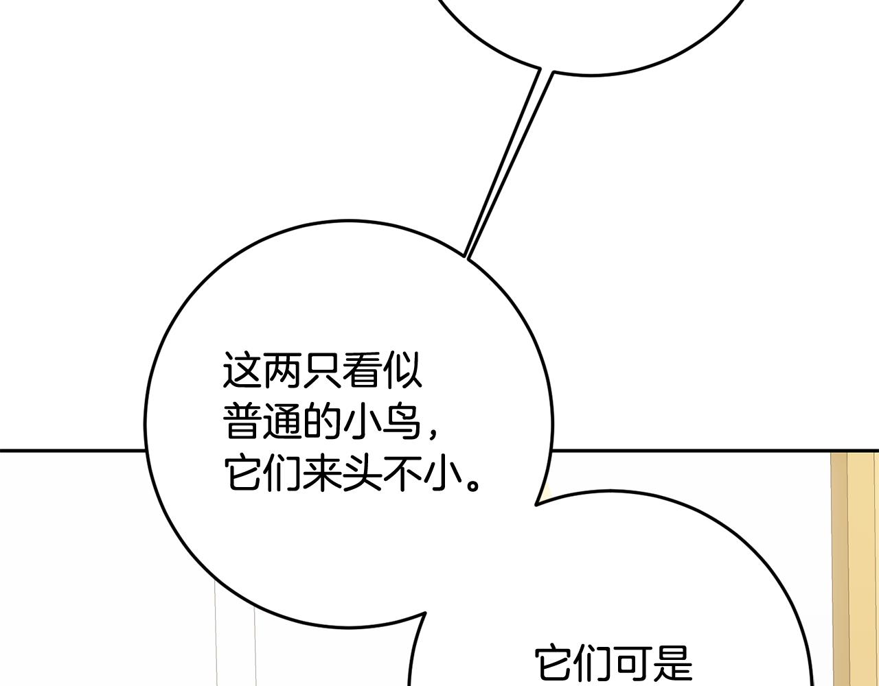 《残酷皇帝的新娘》第54话 我们结婚吧 第36页