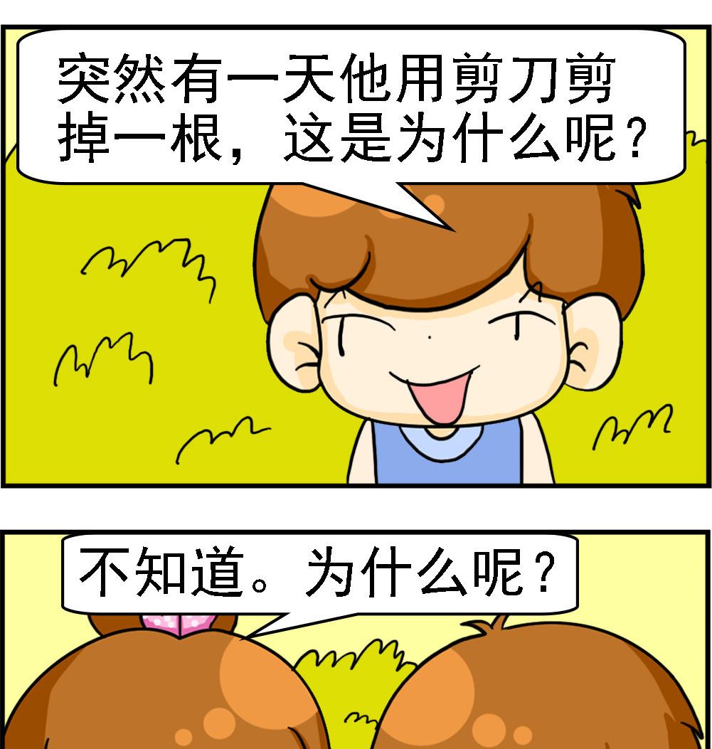 《王小仙2》第005话 留中分 第2页