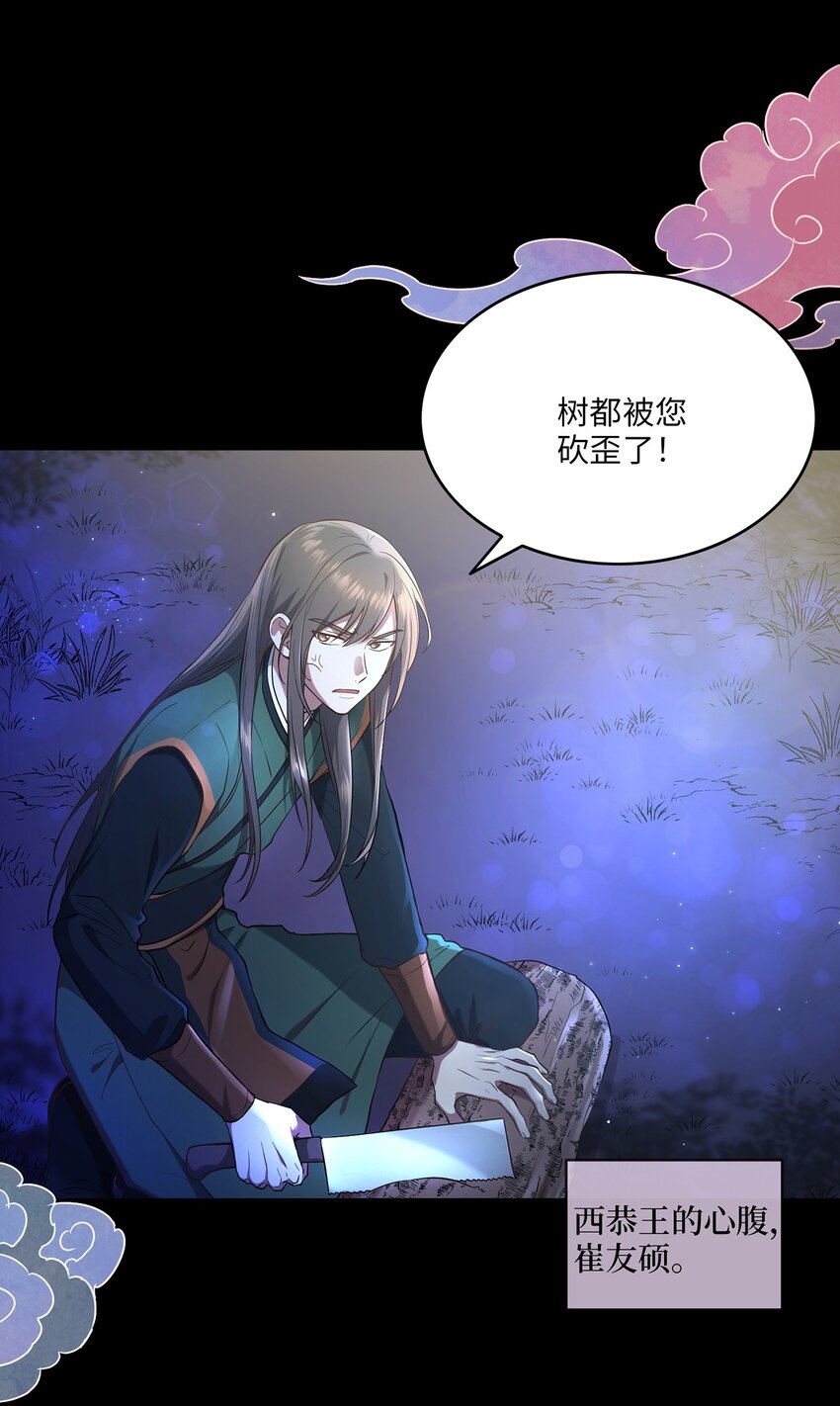 《被迫穿越后，我成了真正的王》02 梦想成真 第3页
