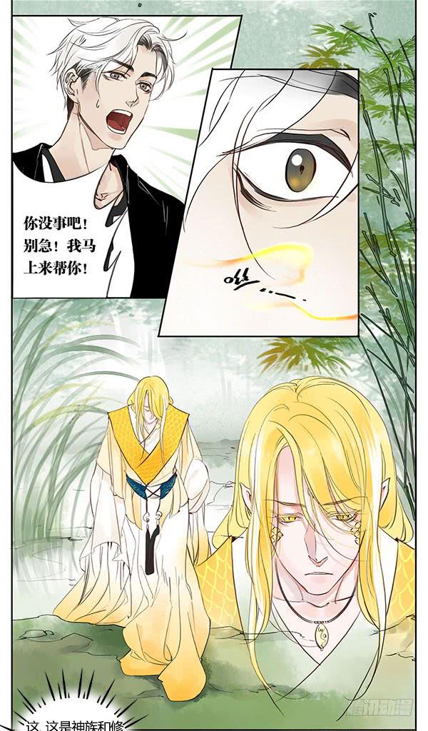《有神鱼中来》好帅的鱼…仙人？ 第29页