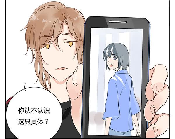 《有神鱼中来》好帅的鱼…仙人？ 第9页