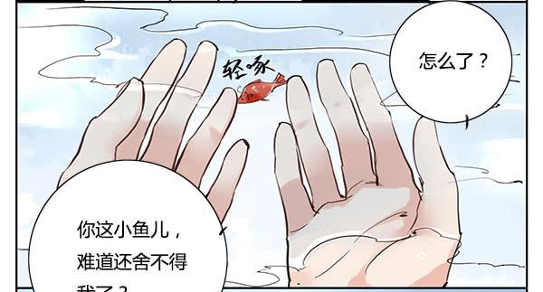 《有神鱼中来》神鱼坠凡 第11页