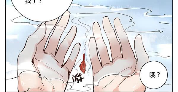 《有神鱼中来》神鱼坠凡 第12页