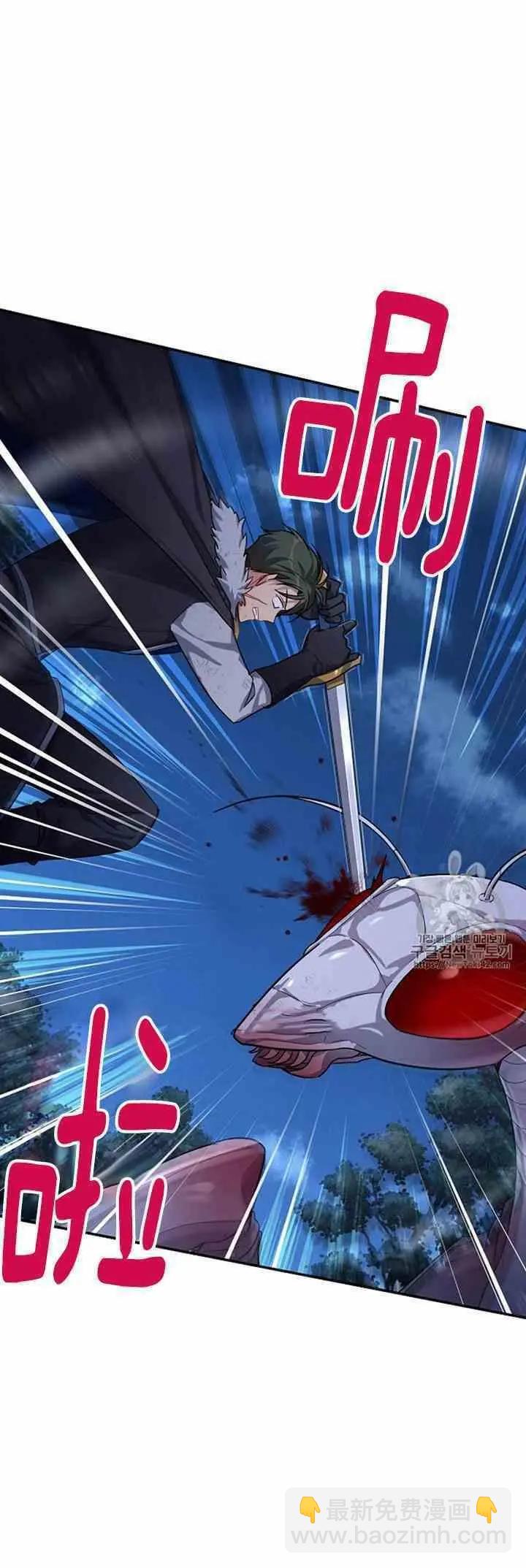 《空有名号的公爵夫人》第29话 夜袭 第12页