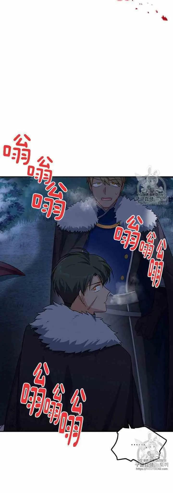 《空有名号的公爵夫人》第29话 夜袭 第16页