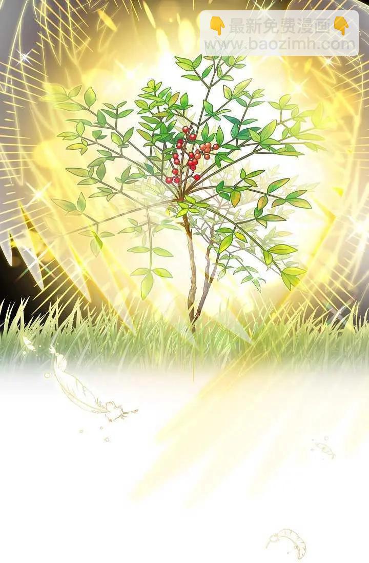《空有名号的公爵夫人》第66话 第44页