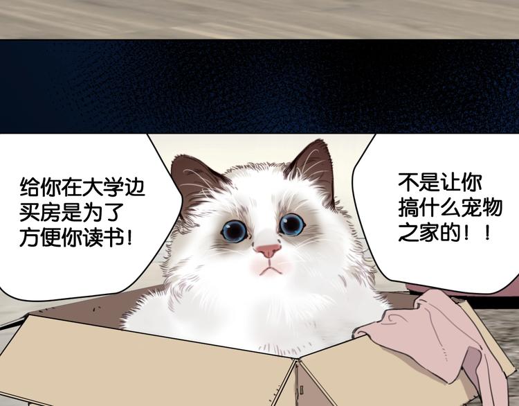 《叫我设计师》第12话 少女和猫咪 第23页
