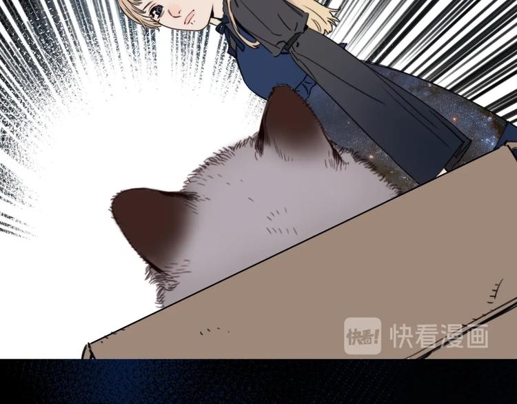 《叫我设计师》第12话 少女和猫咪 第25页
