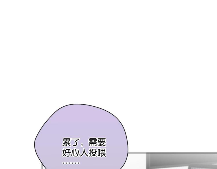 《叫我设计师》第39话 小笨蛋？！ 第22页