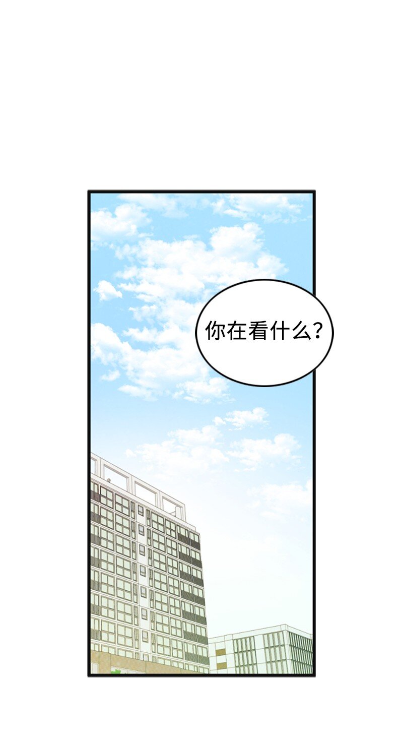 《离谱！公司要我和对家炒CP？》81 上结婚综艺 第2页