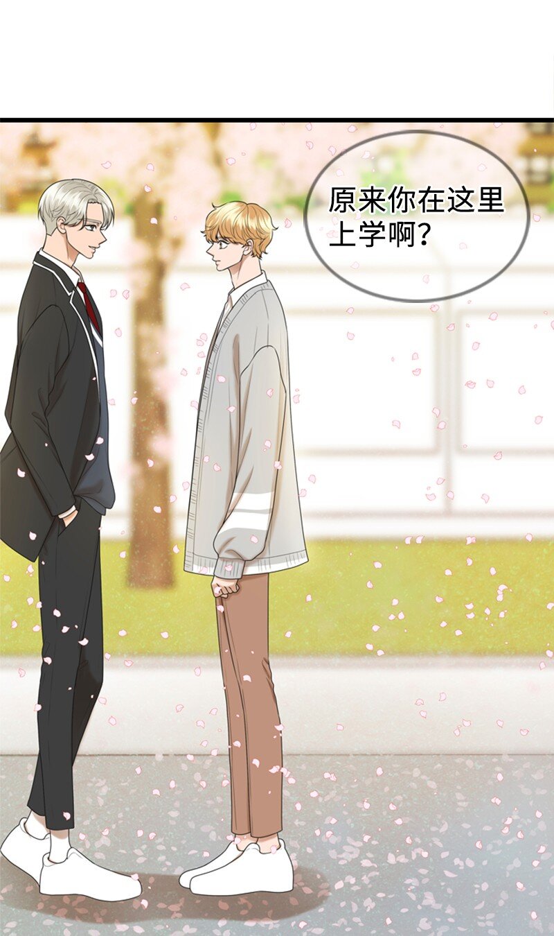 《离谱！公司要我和对家炒CP？》87 学校庆典 第20页
