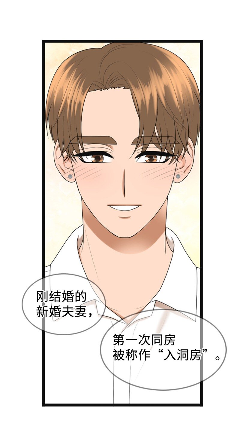《离谱！公司要我和对家炒CP？》95 完结撒花 第42页