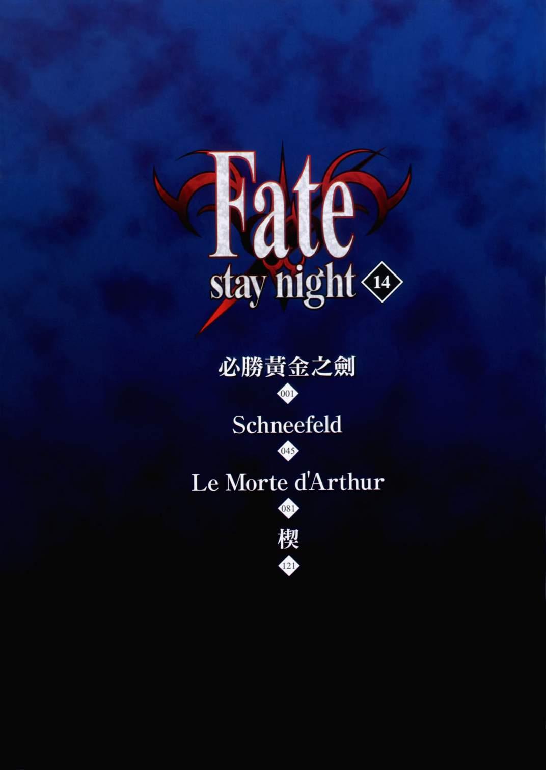 《Fate/stay night》第14卷 第5页