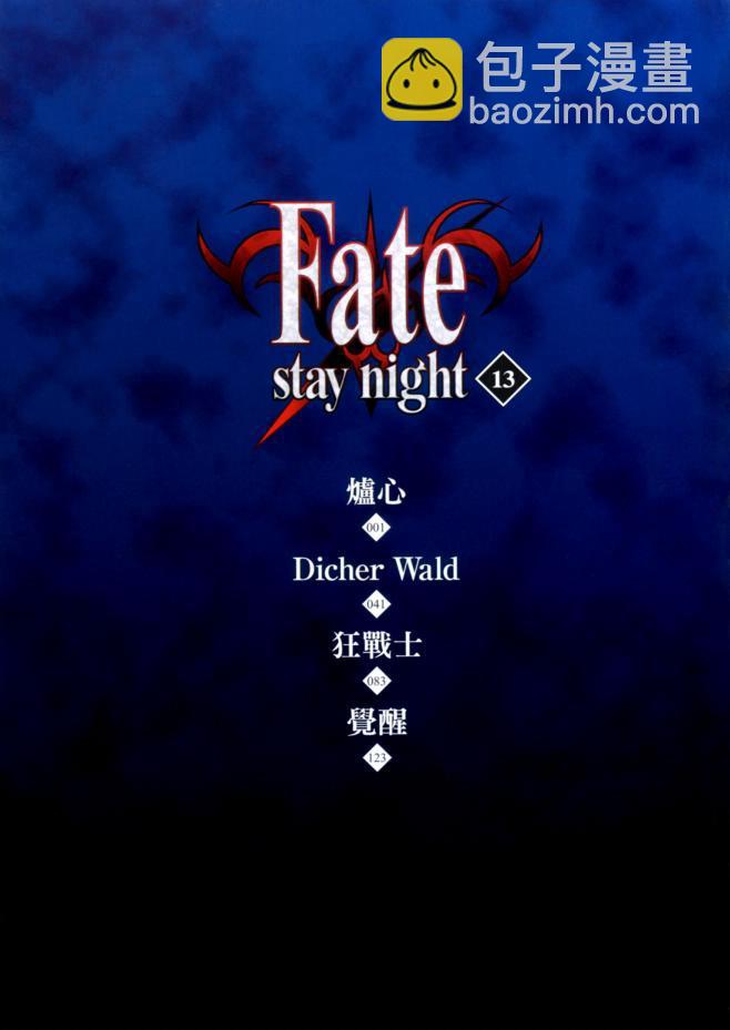 《Fate/stay night》第13卷 第5页