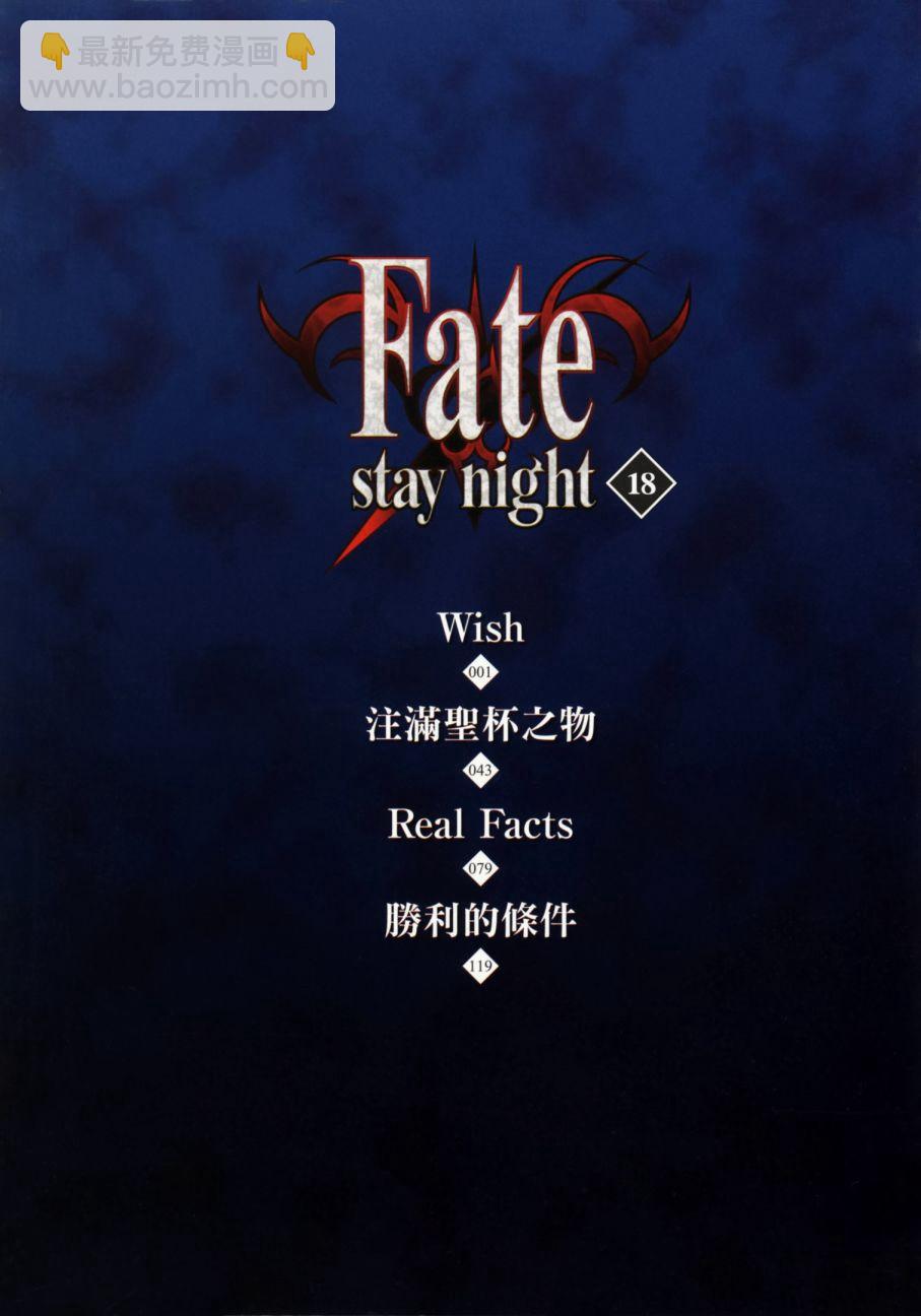 《Fate/stay night》第18卷 第5页