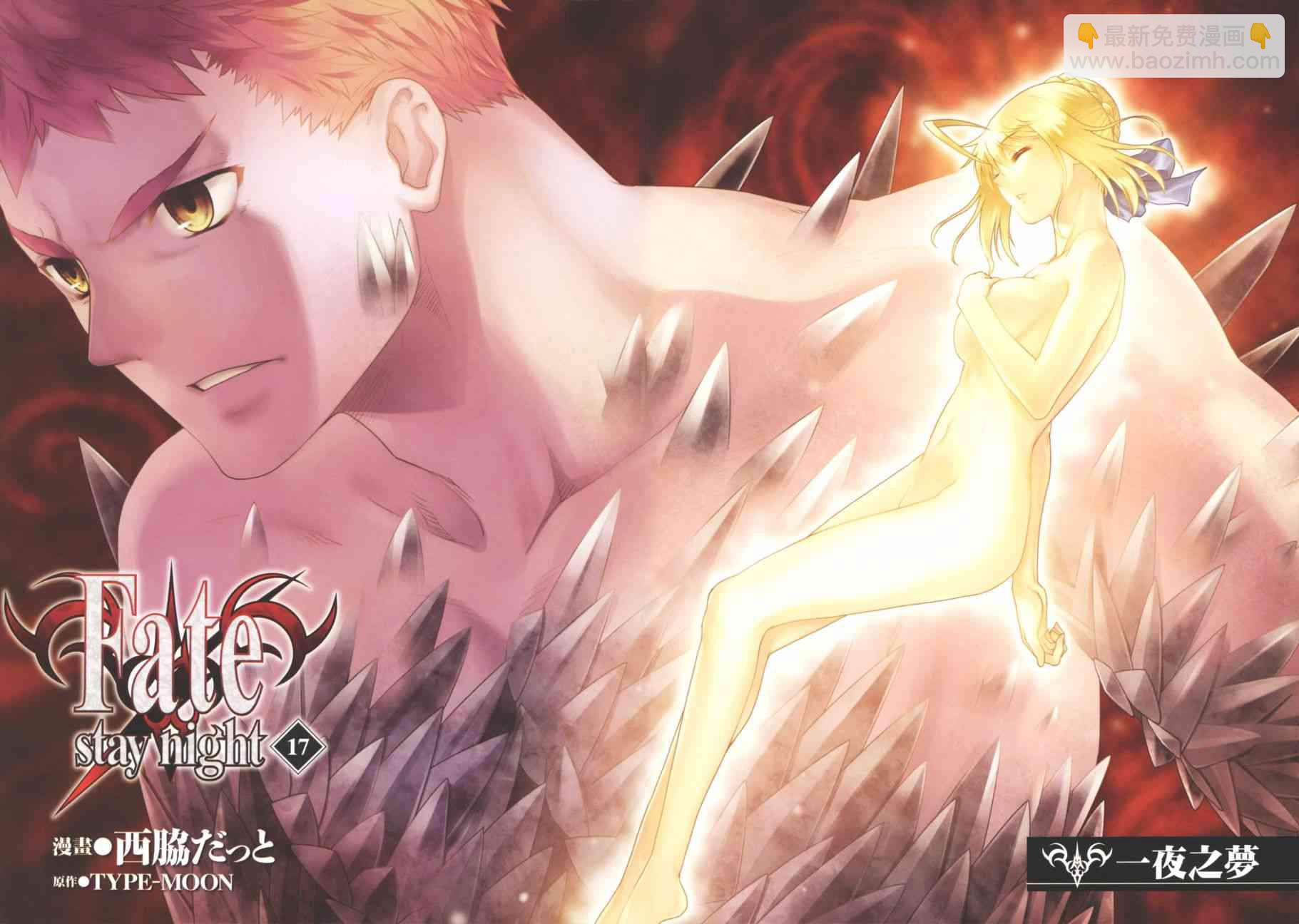 《Fate/stay night》第17卷 第4页