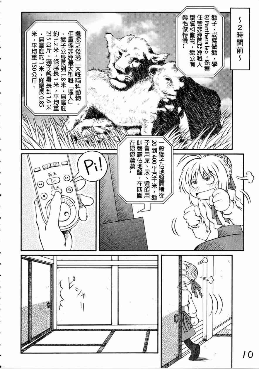 《Fate/stay night》IF分支选项02 第5页