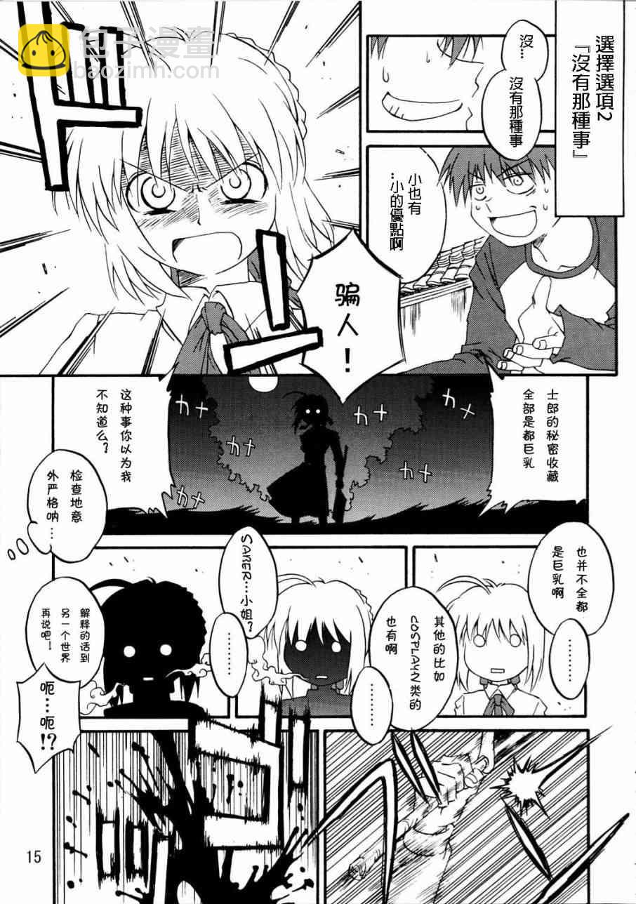《Fate/stay night》IF分支选项 第13页