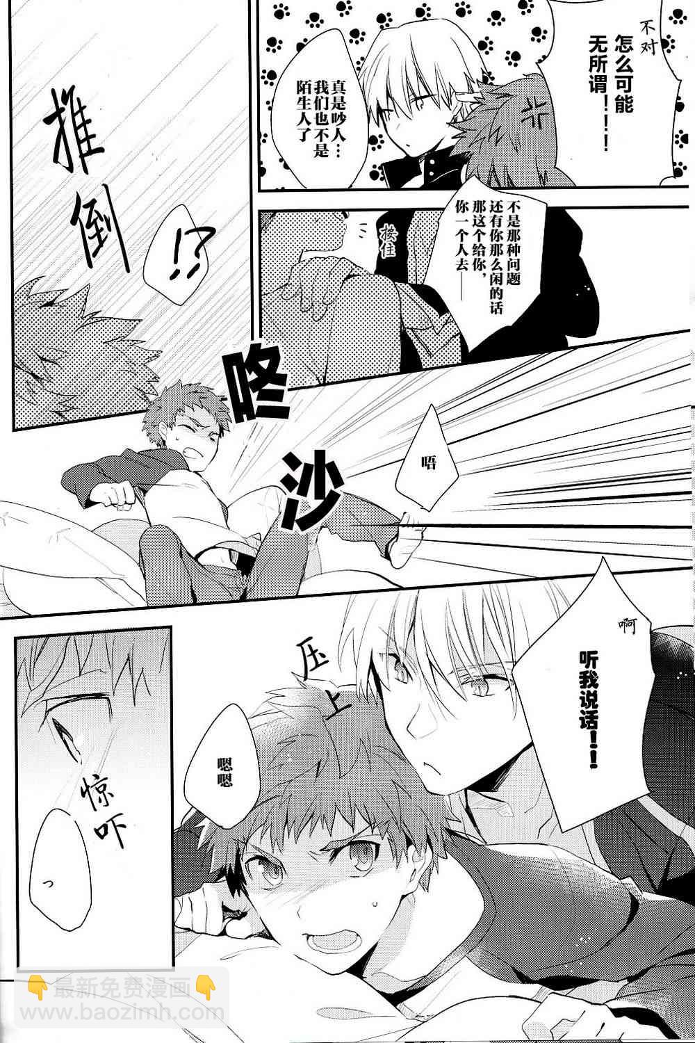 《Fate/stay night》IF士郎对吉尔2 第15页