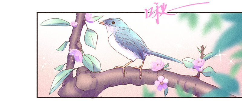 《不知名巨星》SUI篇 第7页