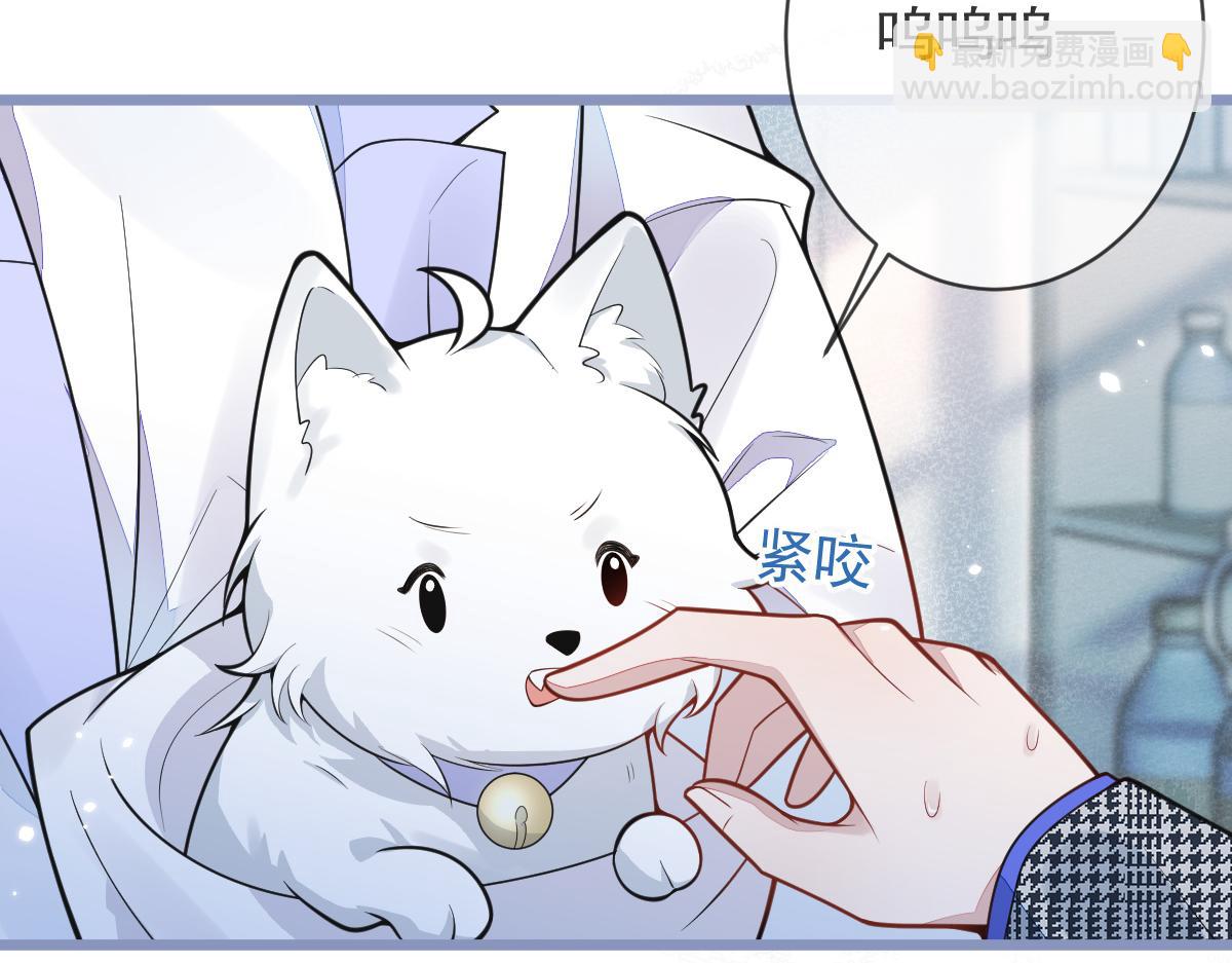 《狼的回报》5-球球不可以！ 第10页