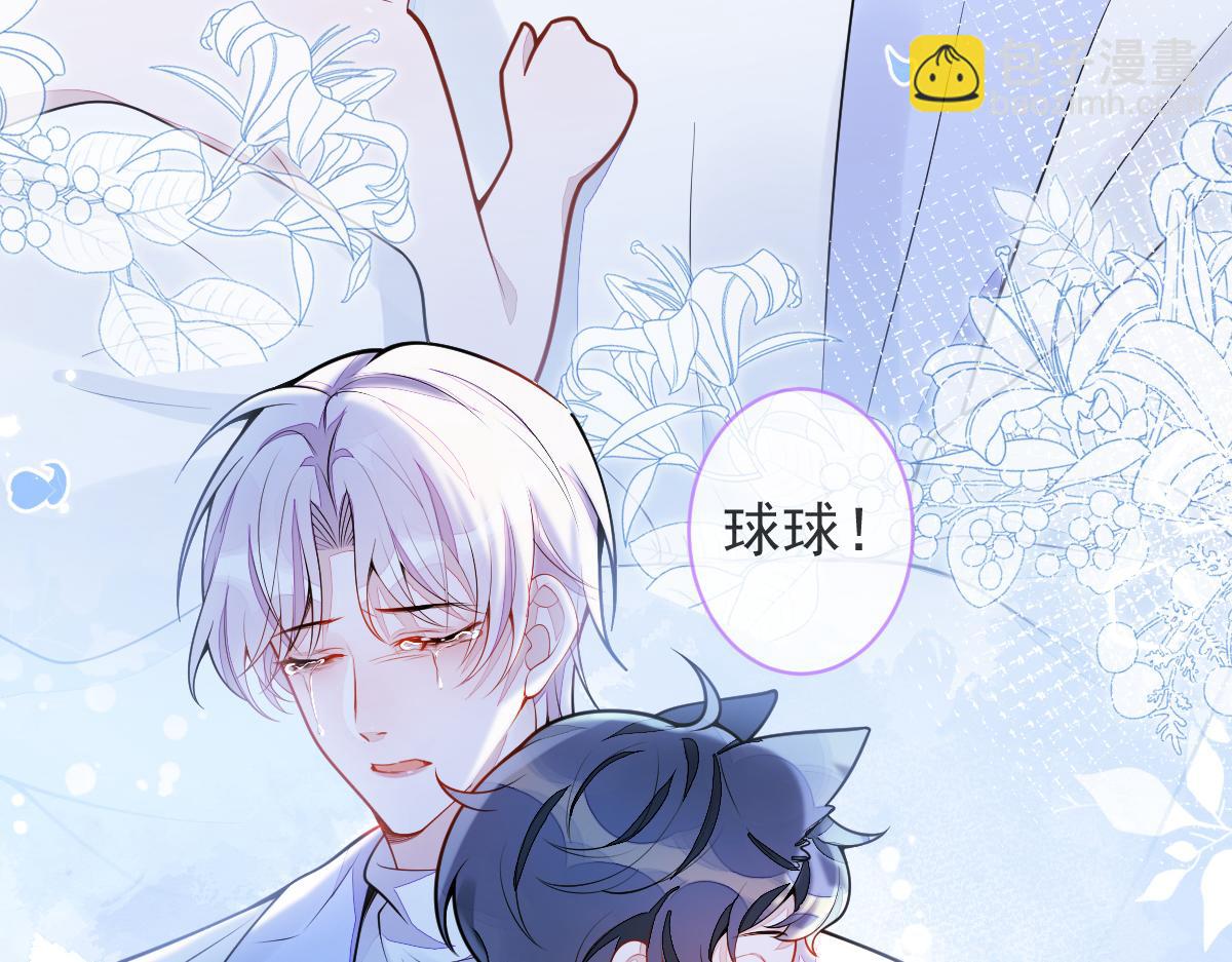 《狼的回报》5-球球不可以！ 第48页