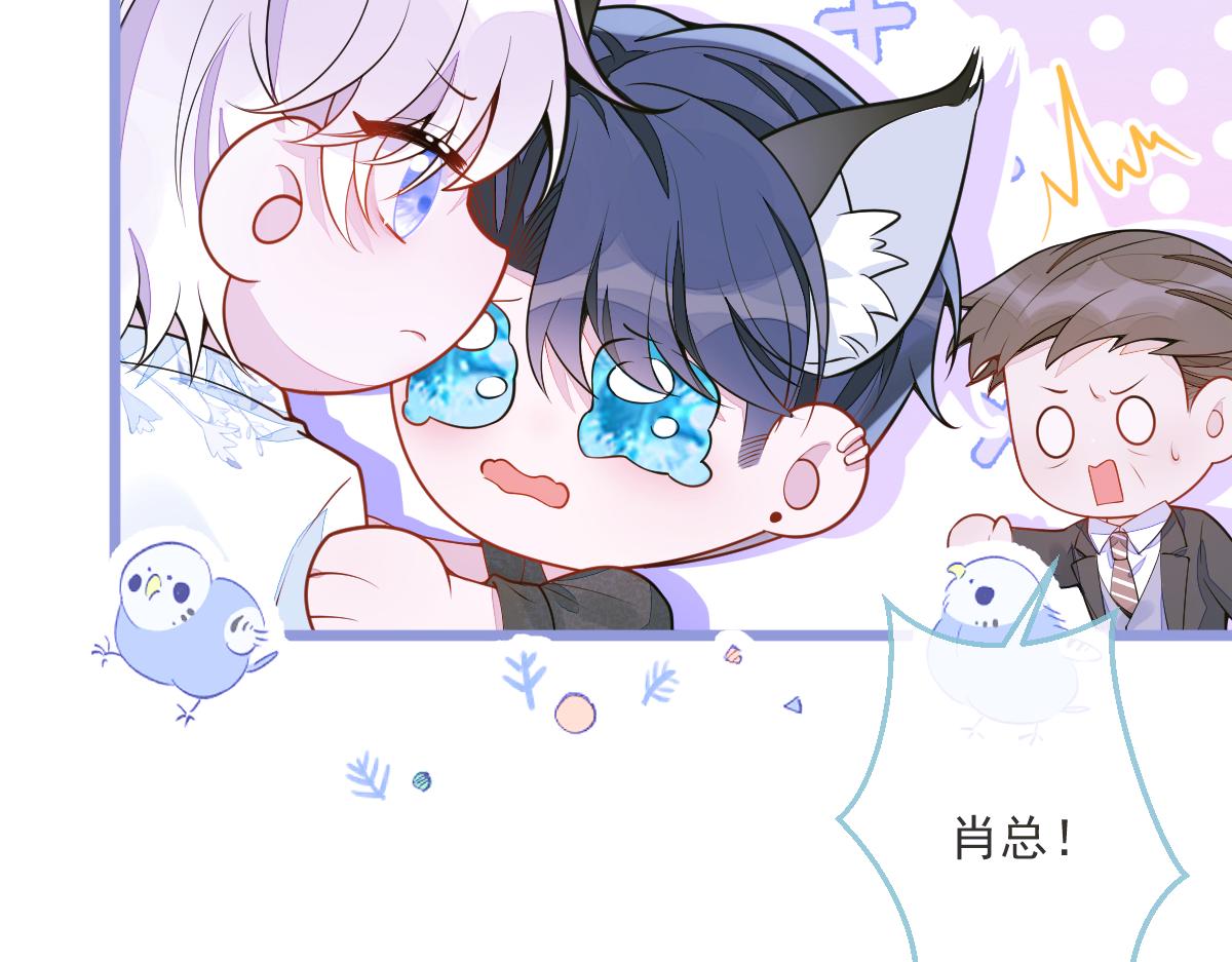 《狼的回报》12-花孔雀。 第10页