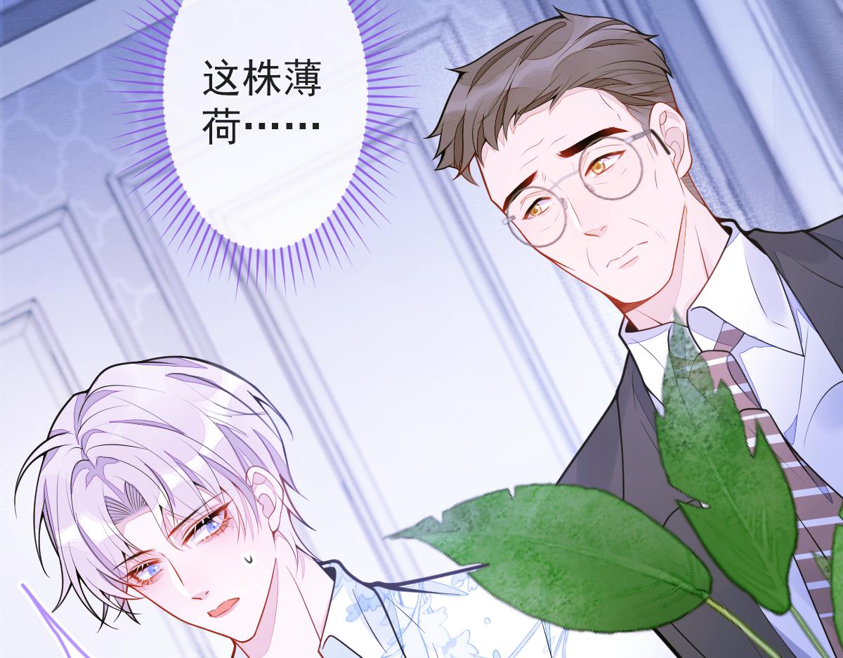 《狼的回报》12-花孔雀。 第31页