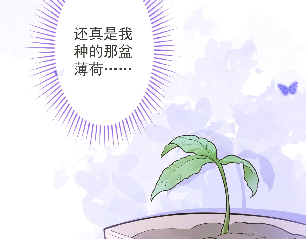 《狼的回报》12-花孔雀。 第34页