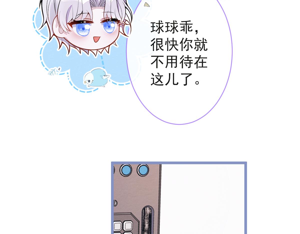 《狼的回报》23-不做治疗吗？ 第13页