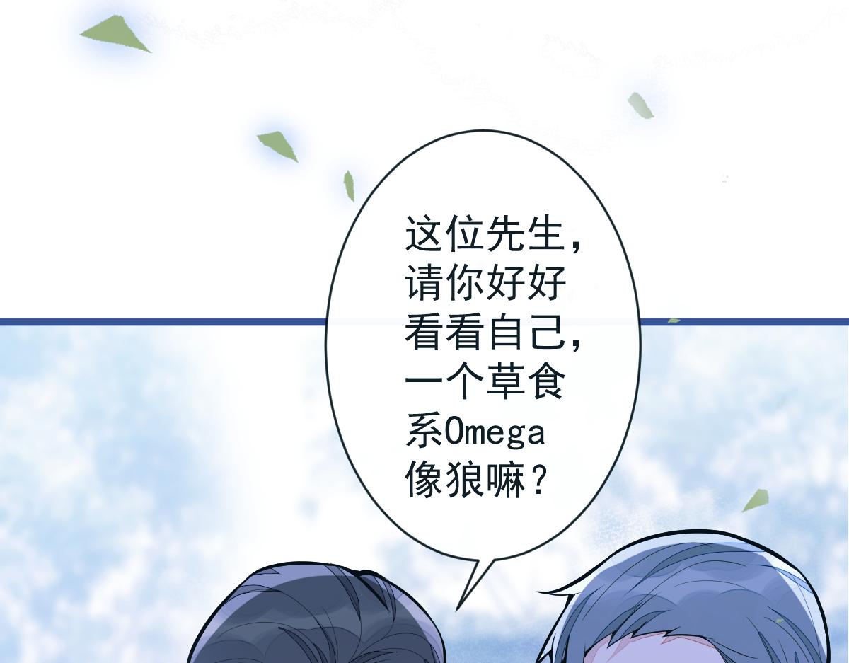 《狼的回报》38-没错，我是付颜。 第34页