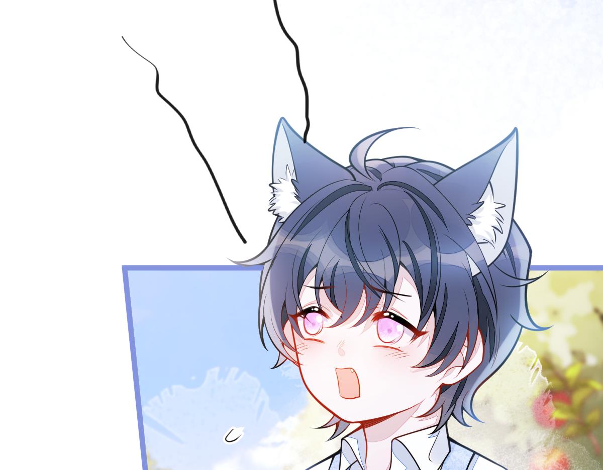 《狼的回报》43-医生和小护士。 第15页