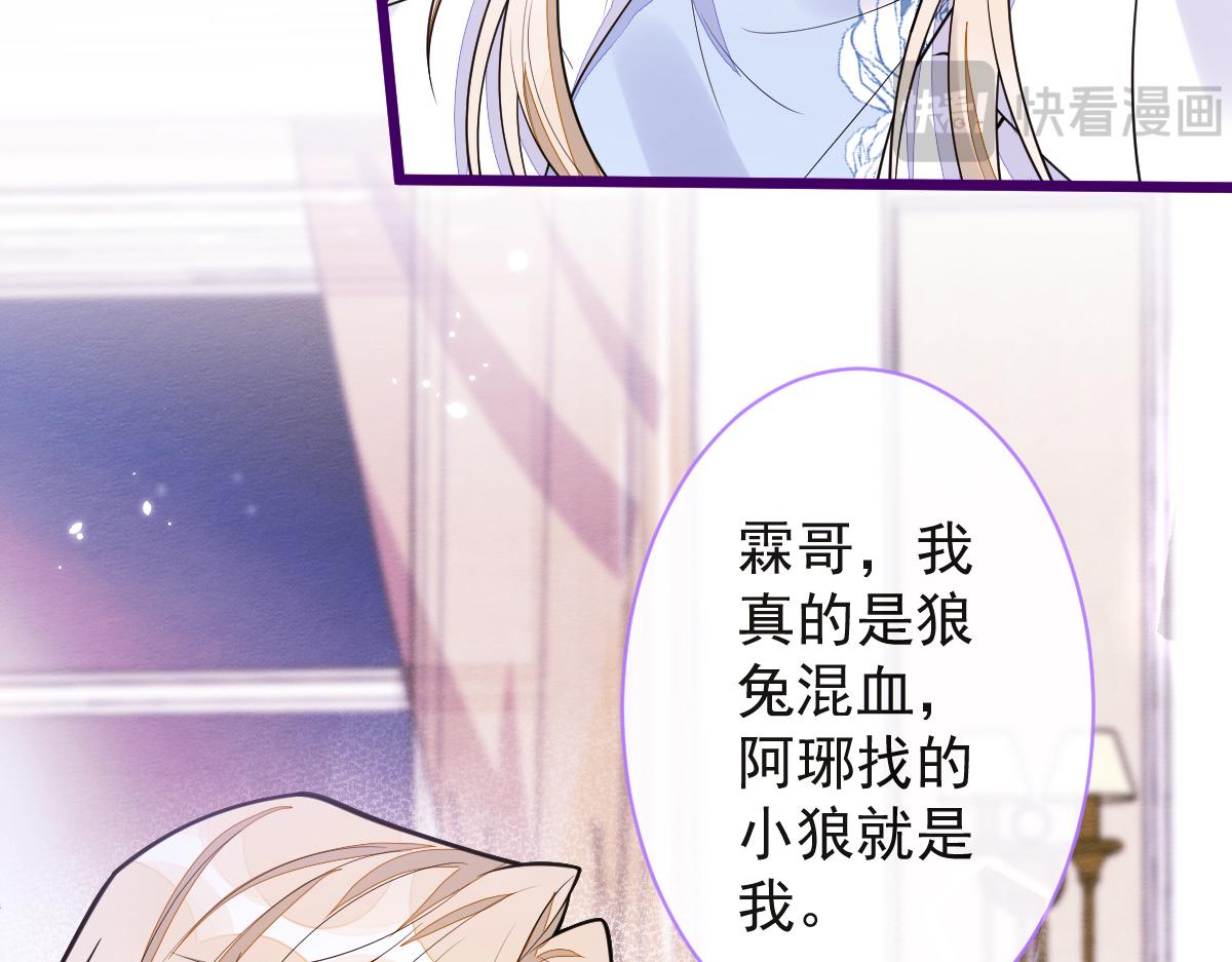 《狼的回报》41-都是骗子。 第14页
