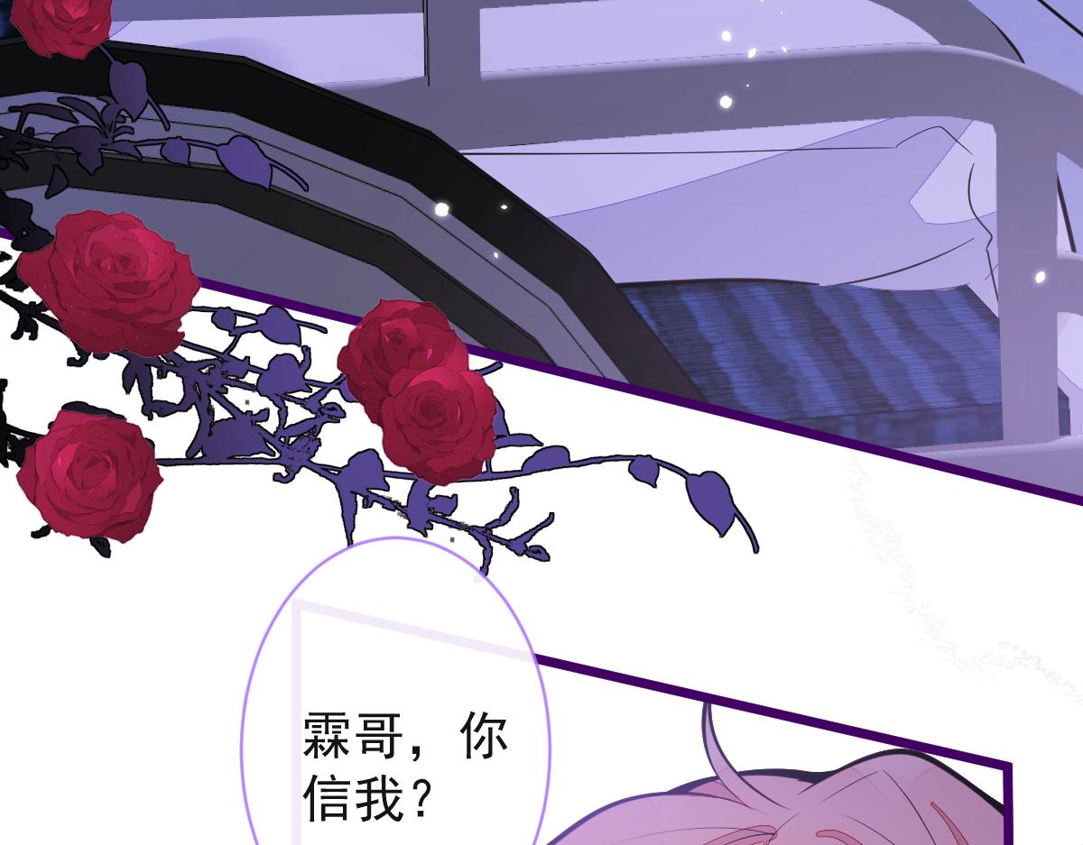 《狼的回报》41-都是骗子。 第17页
