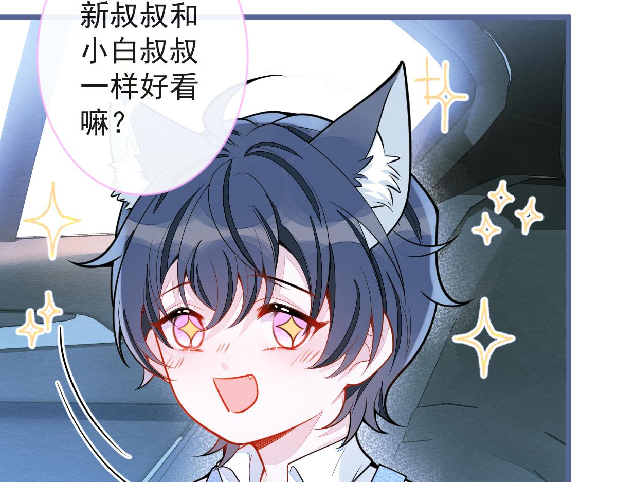 《狼的回报》41-都是骗子。 第48页