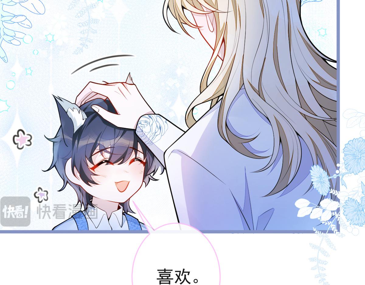 《狼的回报》47-球球失踪 第11页
