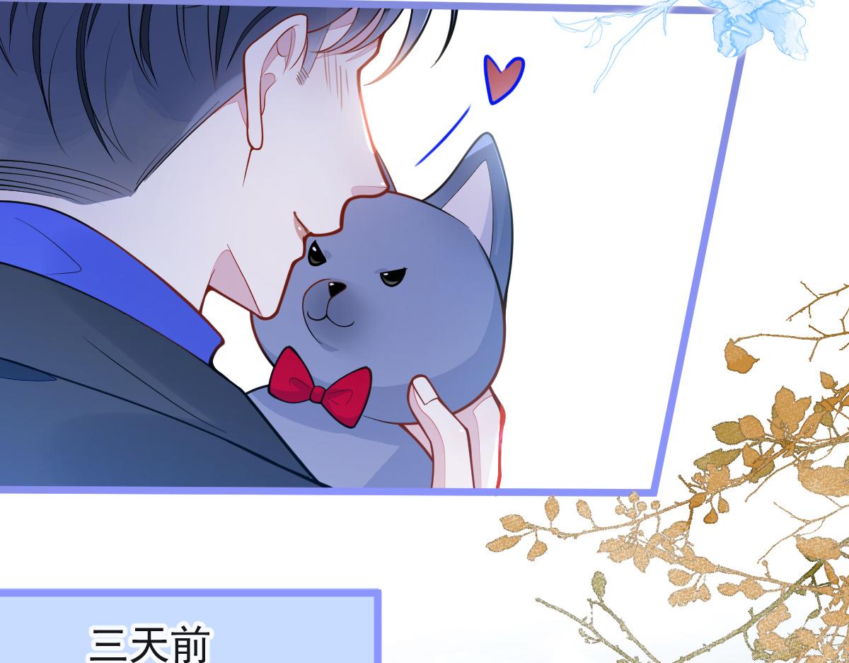 《狼的回报》53-追妻火葬场开始 第13页