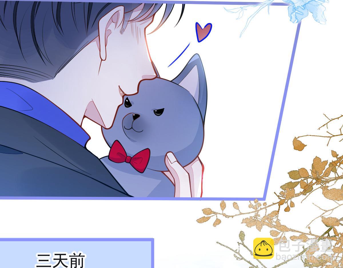 《狼的回报》53-追qi火葬场开始 第13页