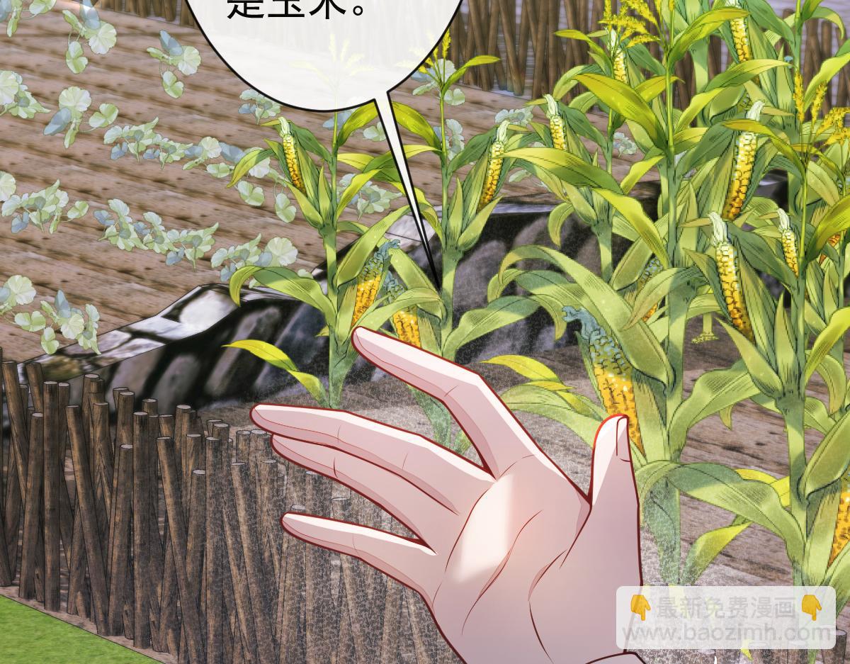 《狼的回报》62-过往 第33页