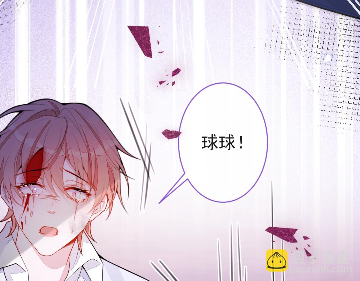 《狼的回报》67-球球失踪！ 第11页