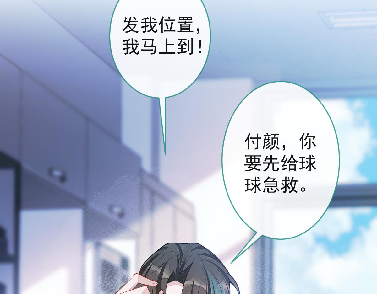 《狼的回报》67-球球失踪！ 第22页