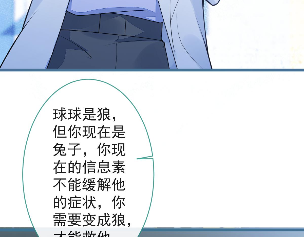 《狼的回报》67-球球失踪！ 第24页
