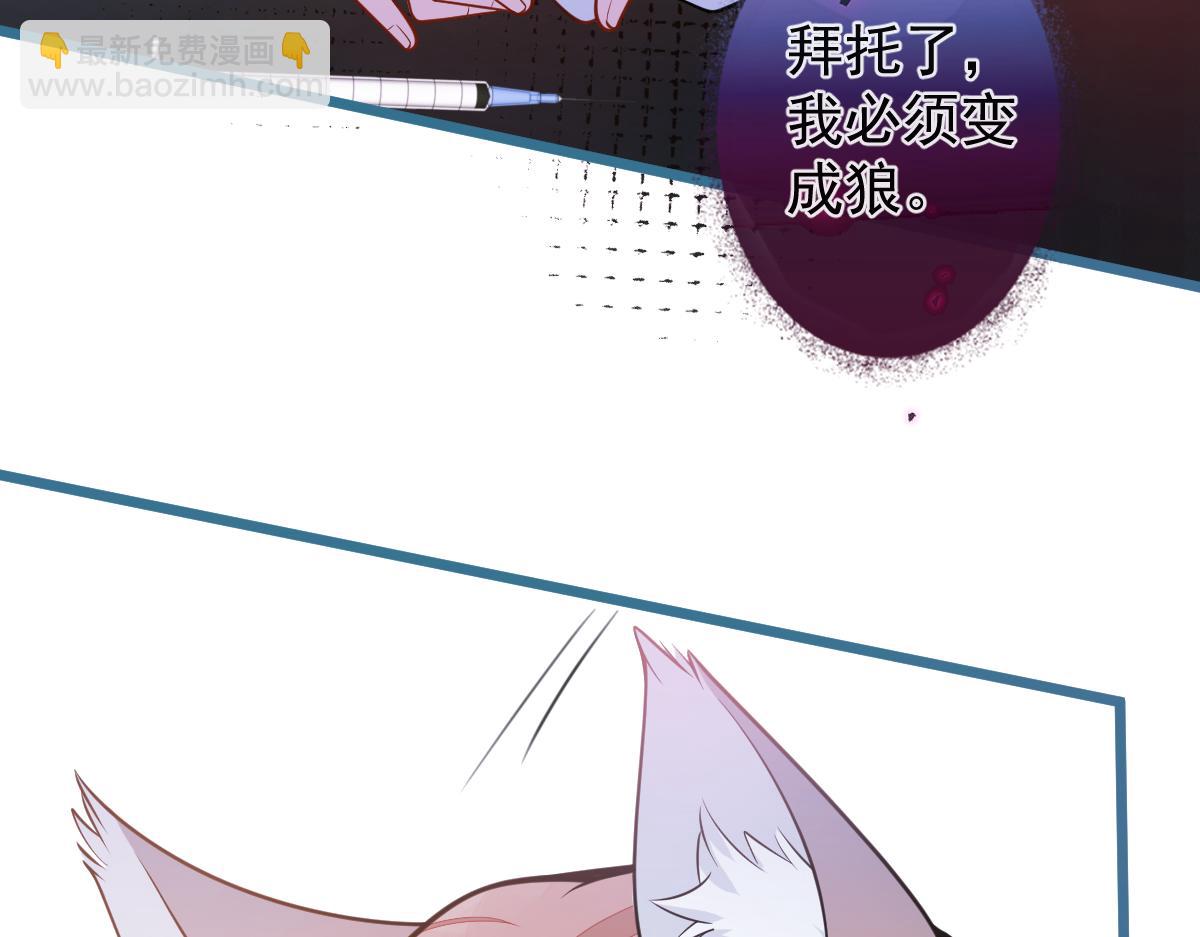 《狼的回报》67-球球失踪！ 第31页