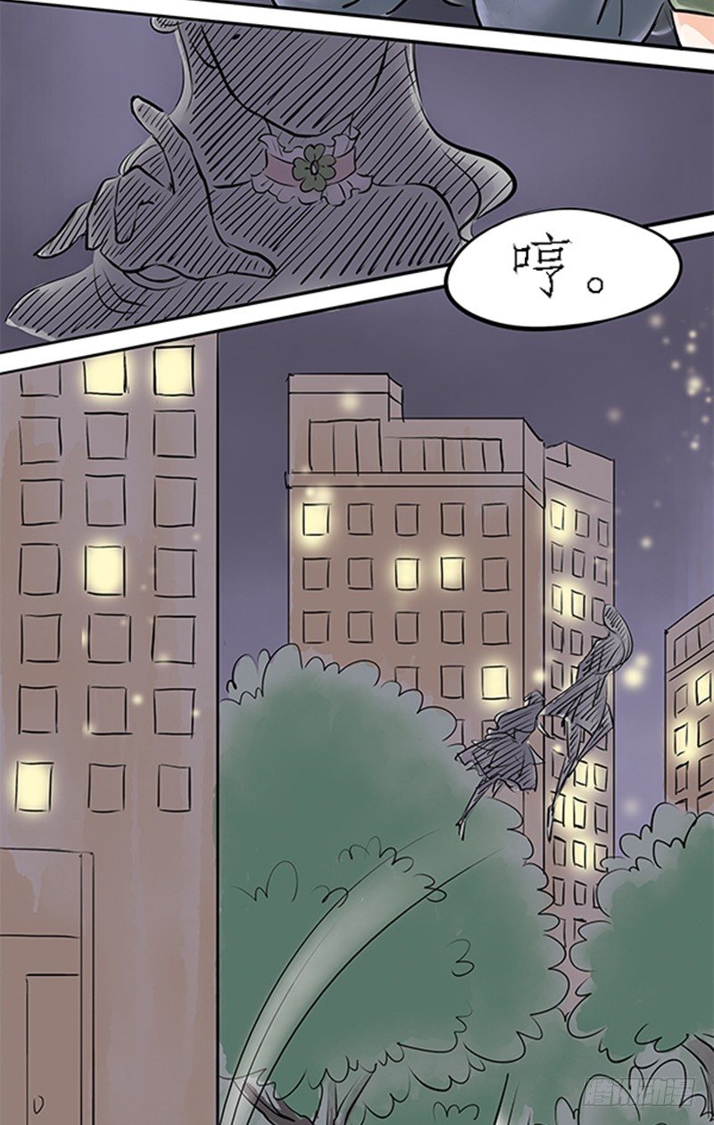 《拍案江湖梦》03 其他人做不到的我们来做 第17页